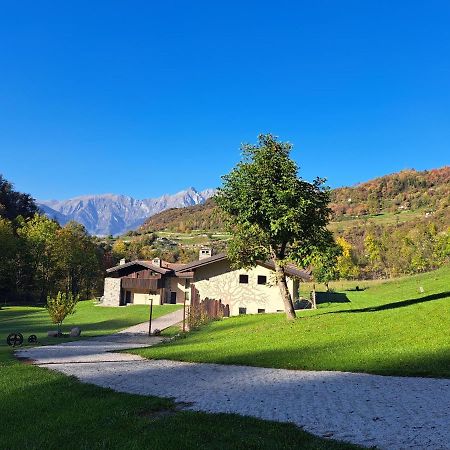 Quader Nidi Nel Verde Bienno Buitenkant foto