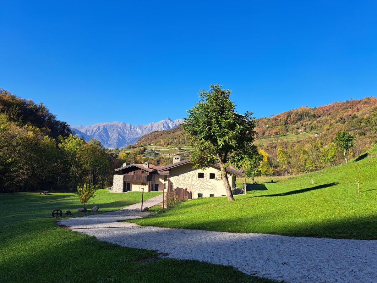 Quader Nidi Nel Verde Bienno Buitenkant foto